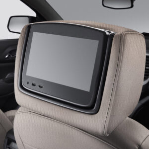 Rear-Seat Infotainment System in Light Ash Gray Cloth