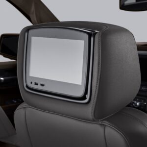 Rear-Seat Infotainment System with DVD Player in Dark Ash Gray
