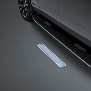Assist Step Puddle Light Kit with Illuminated Projection
